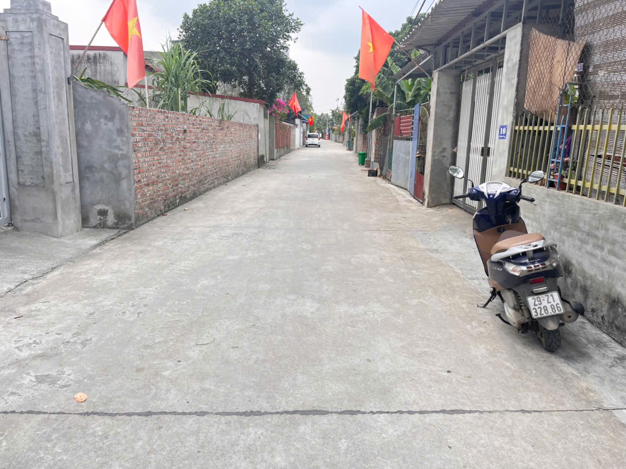 Bán đất
