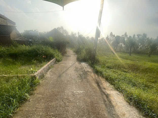 Bán đất