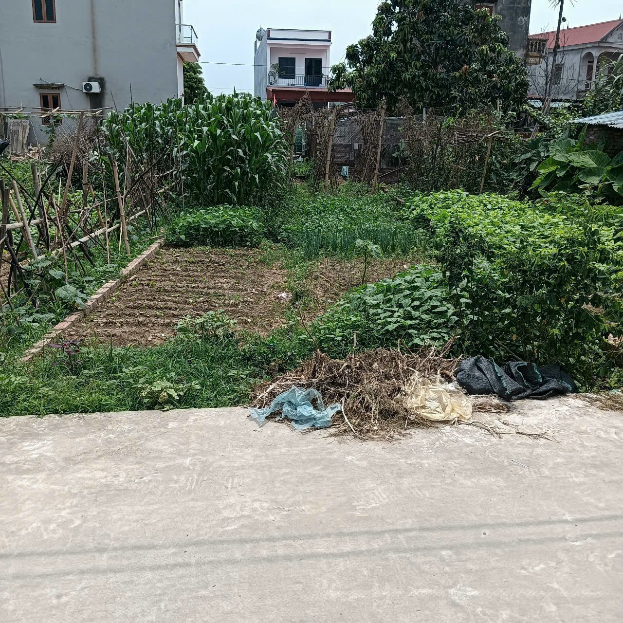 Bán đất