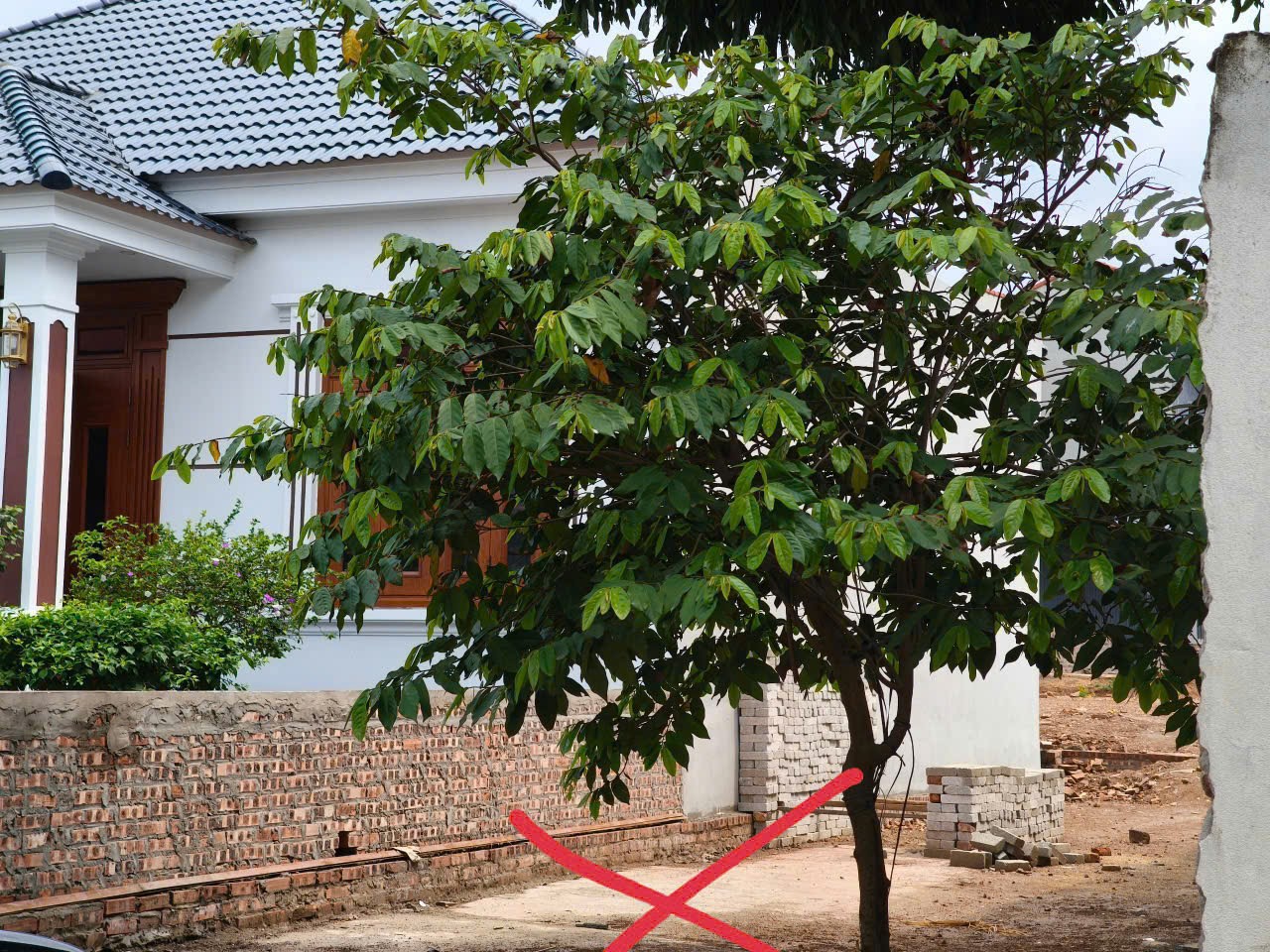 Bán đất