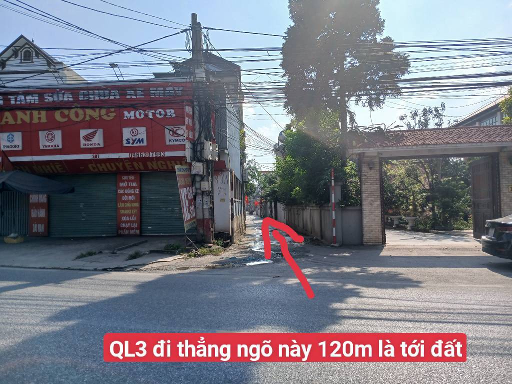 Bán đất