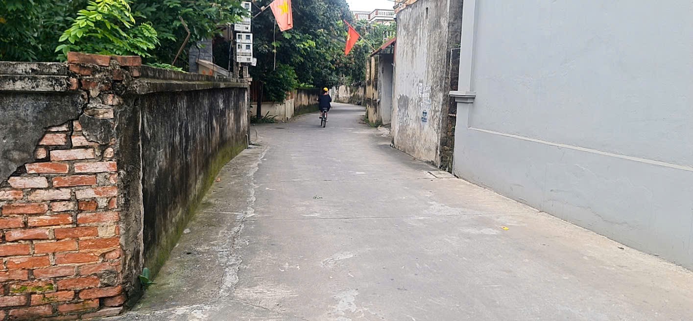 Bán đất