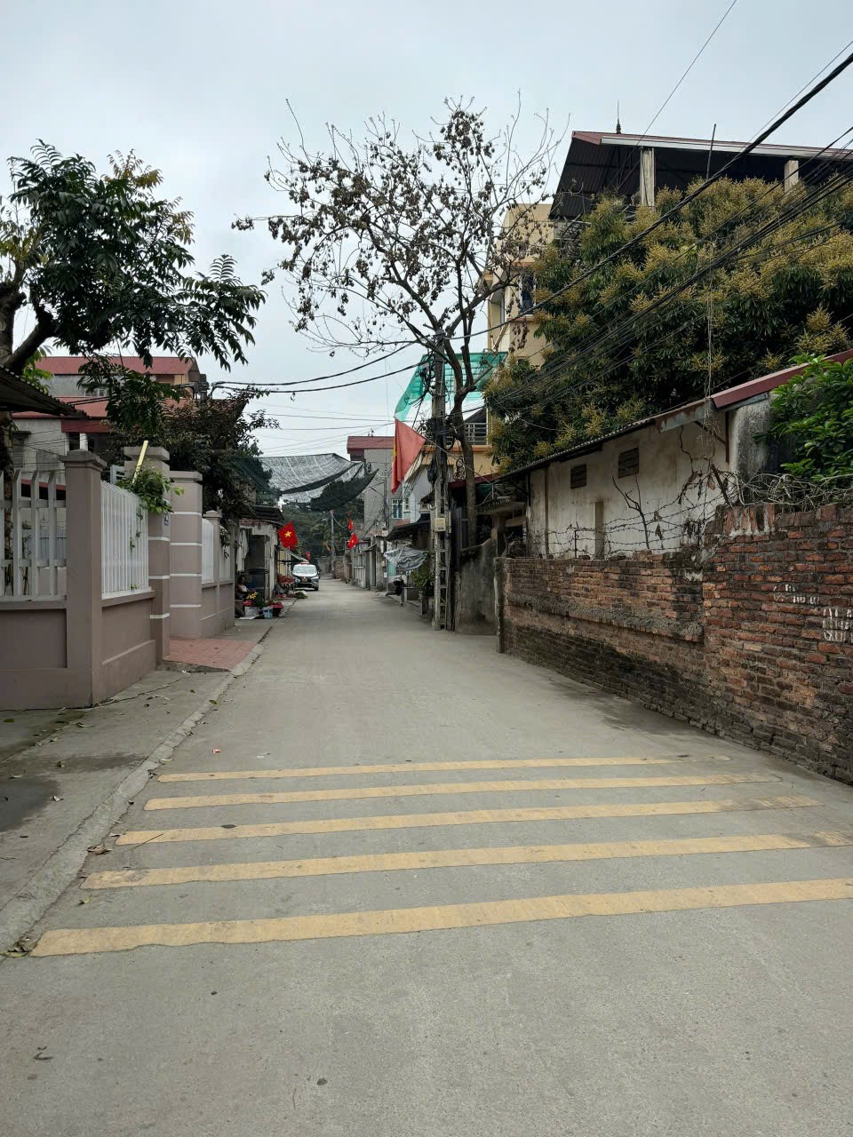Bán đất