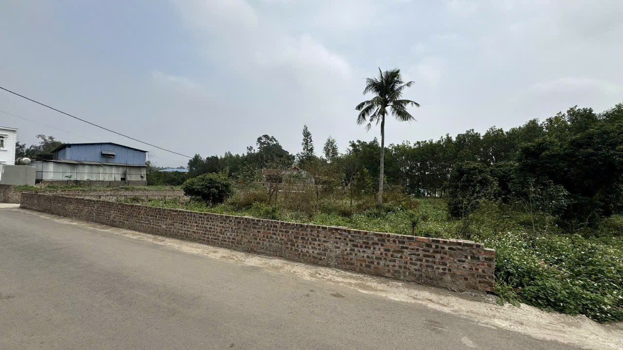 Bán đất