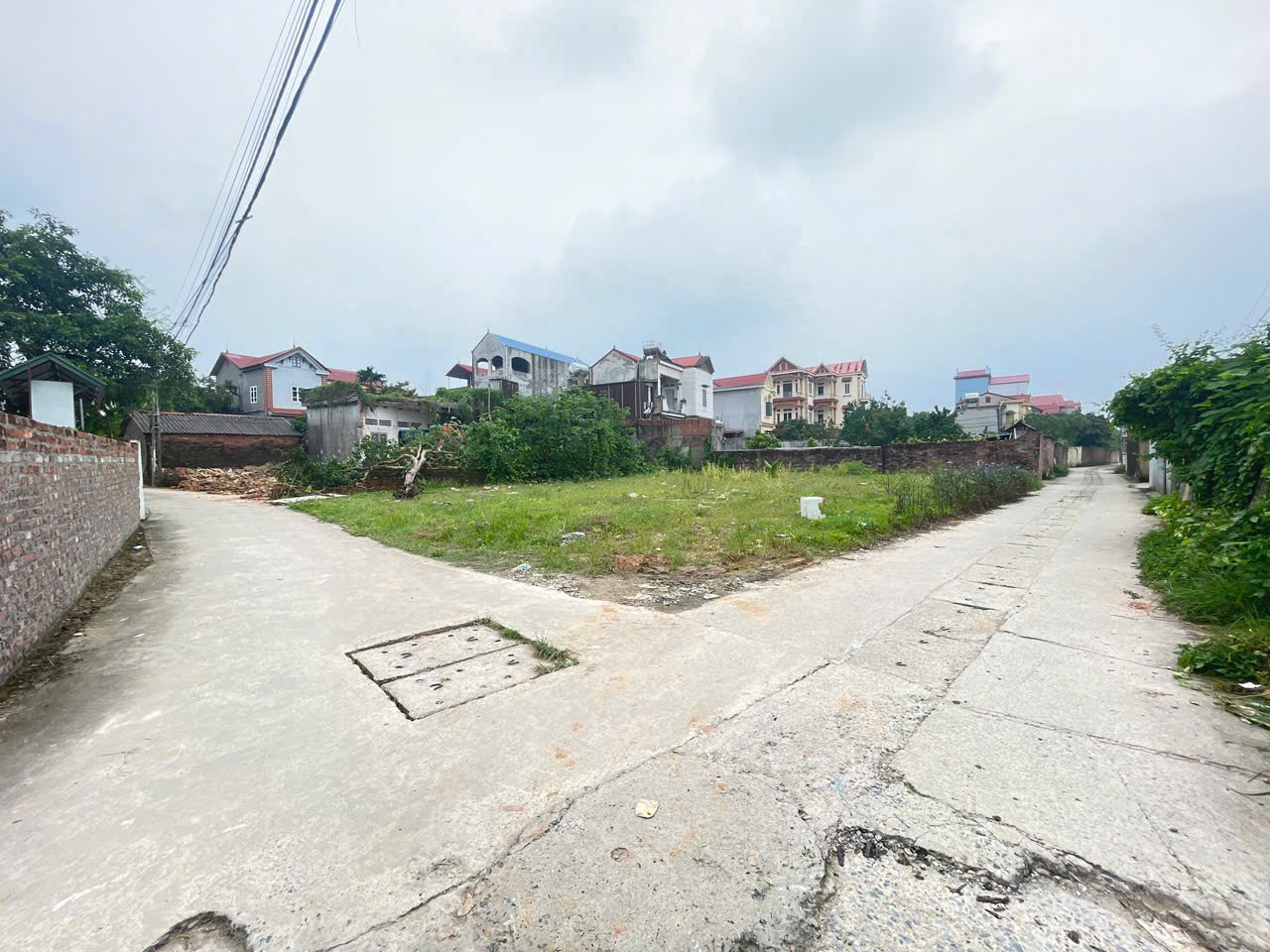 Bán đất