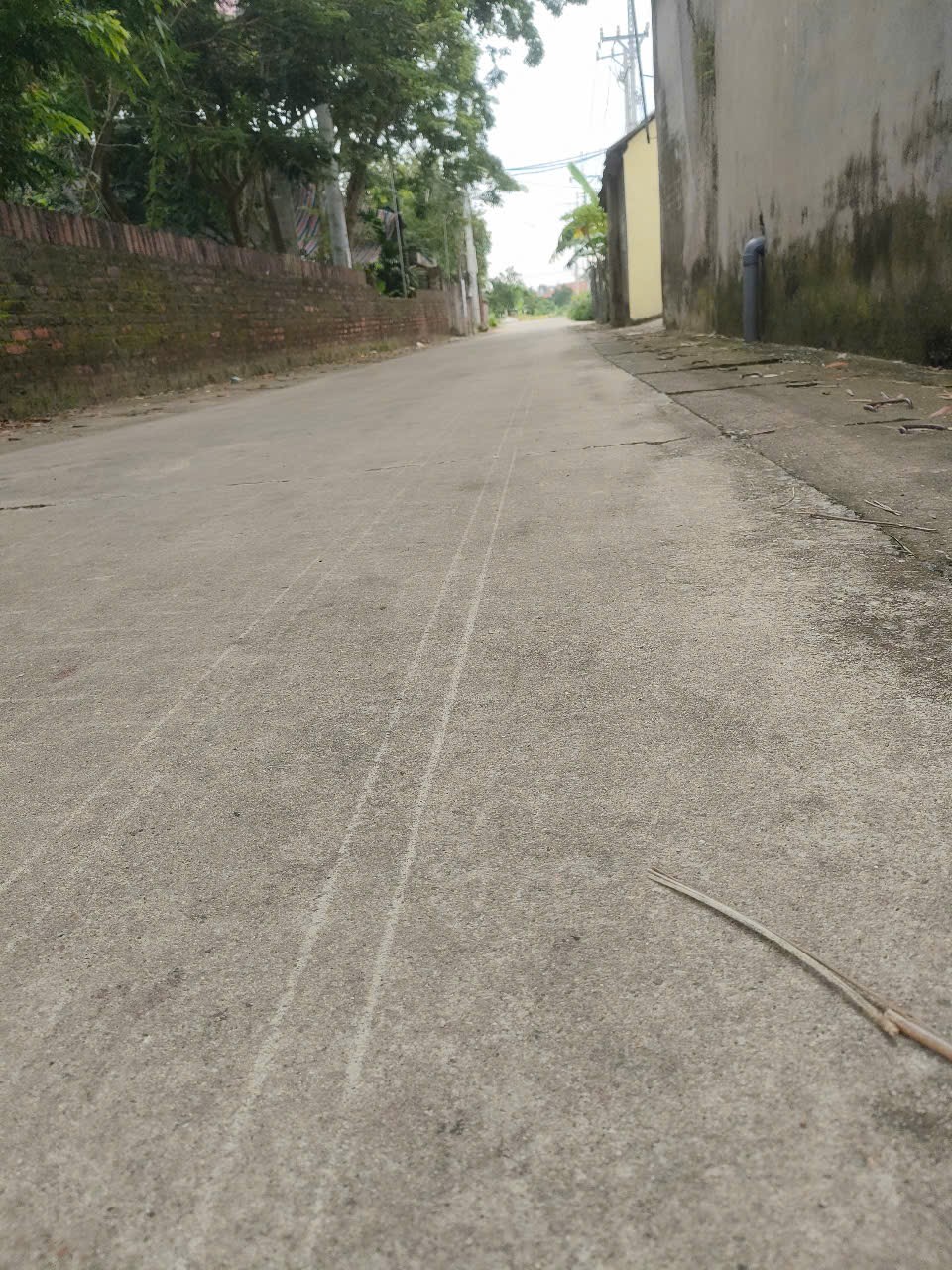 Bán đất