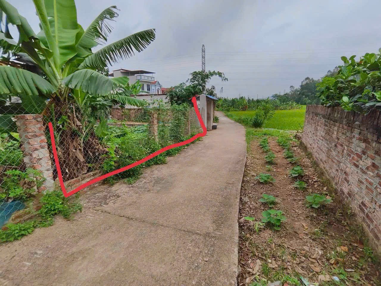 Bán đất