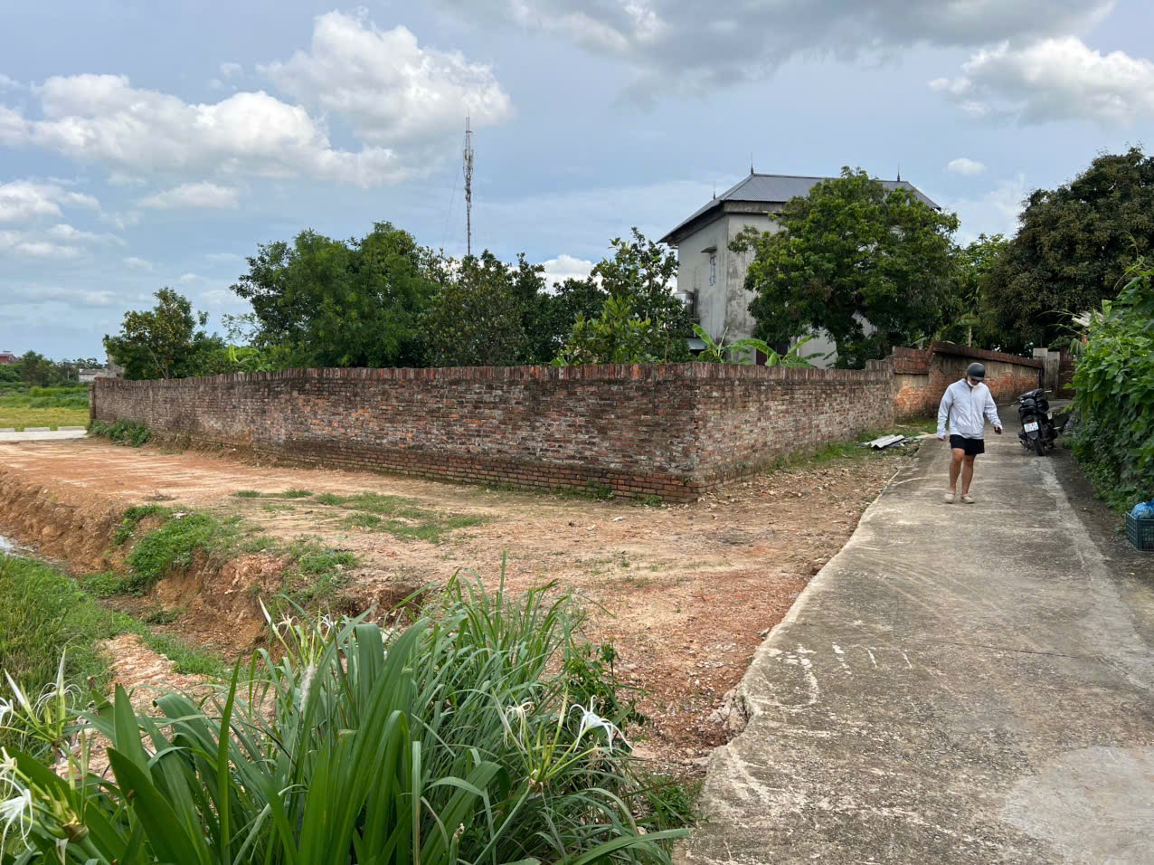 Bán đất