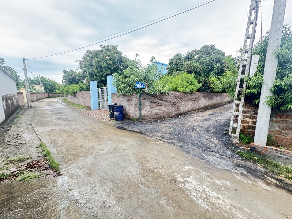 Bán đất