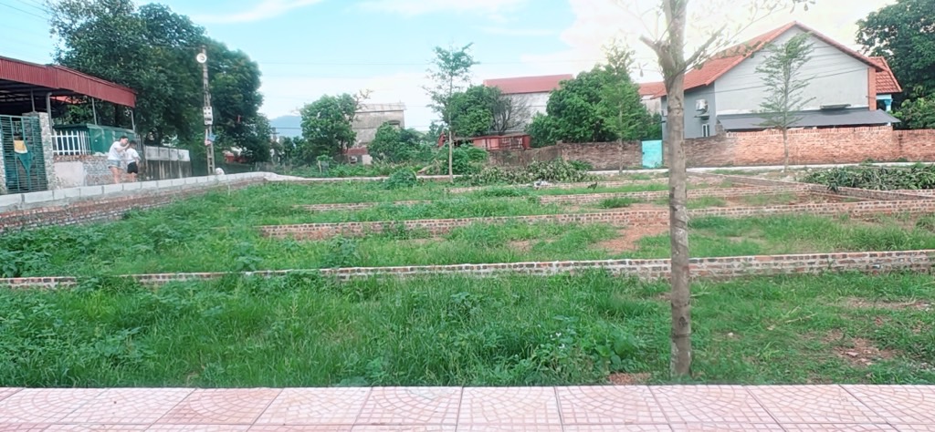 Bán đất