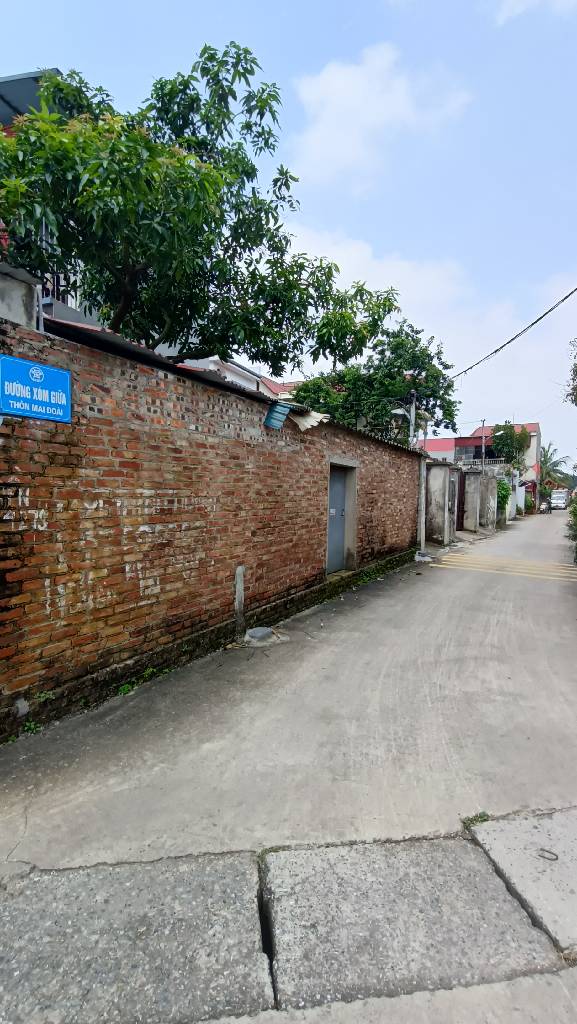Bán đất