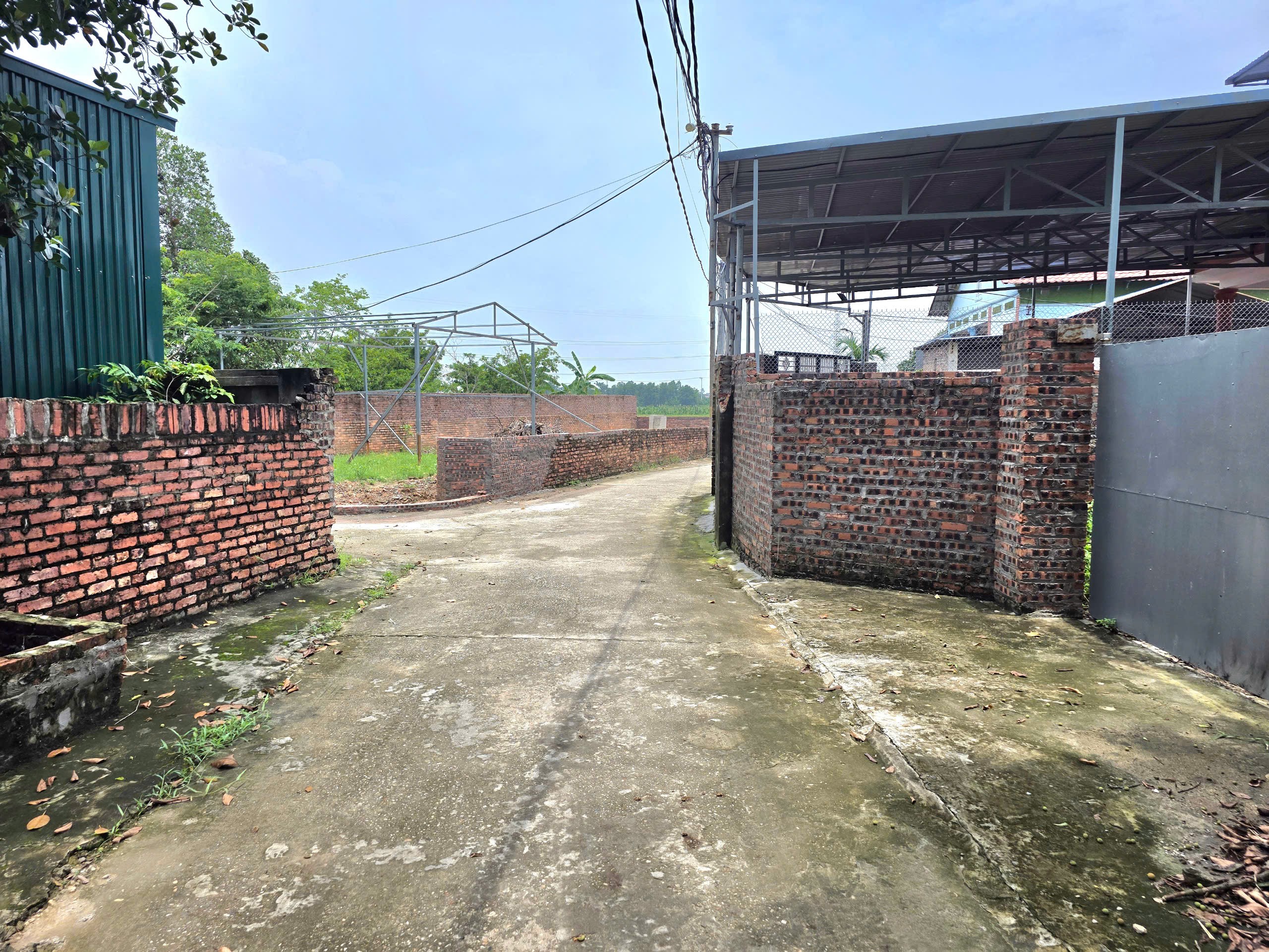 Bán đất