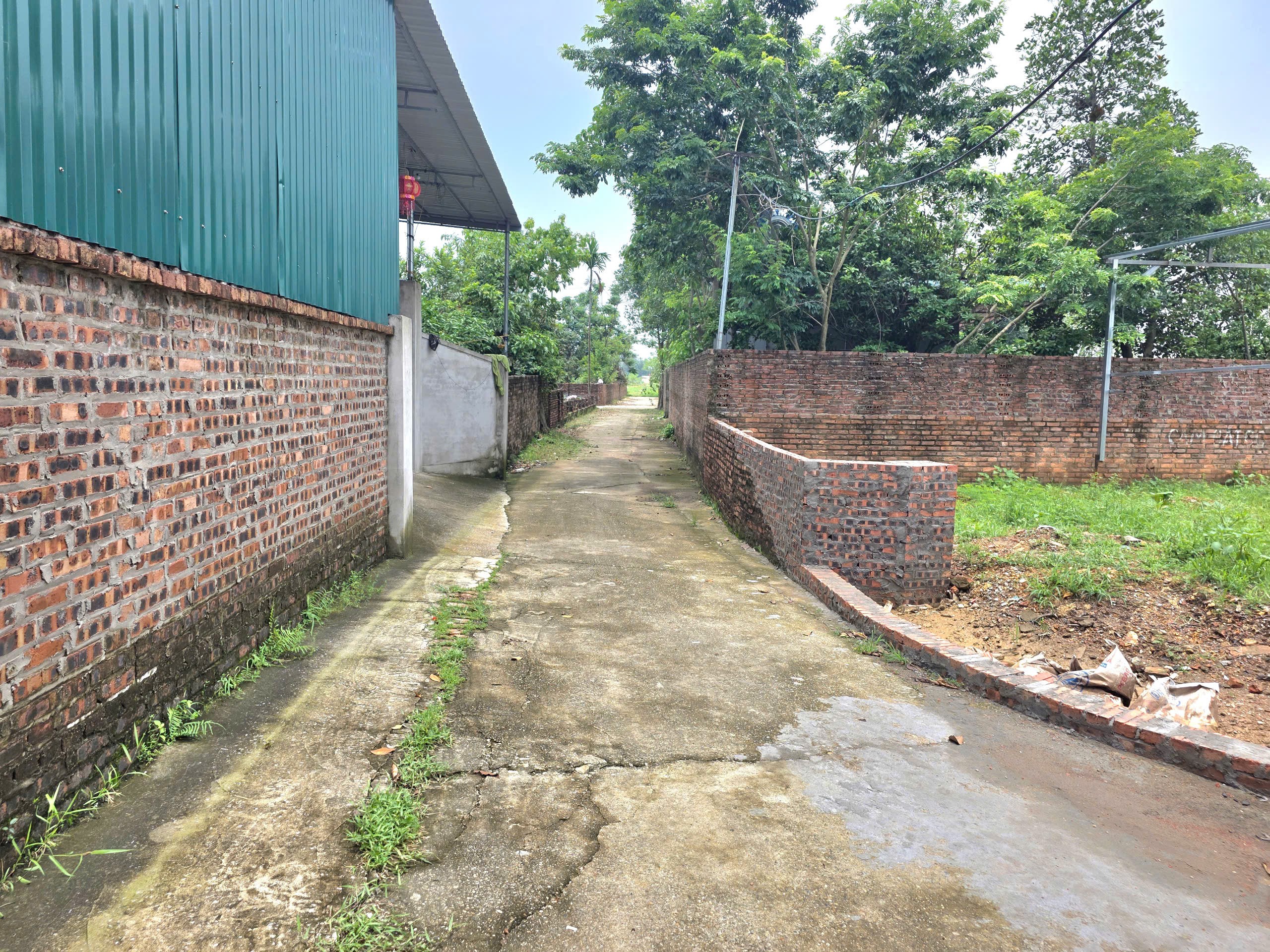 Bán đất