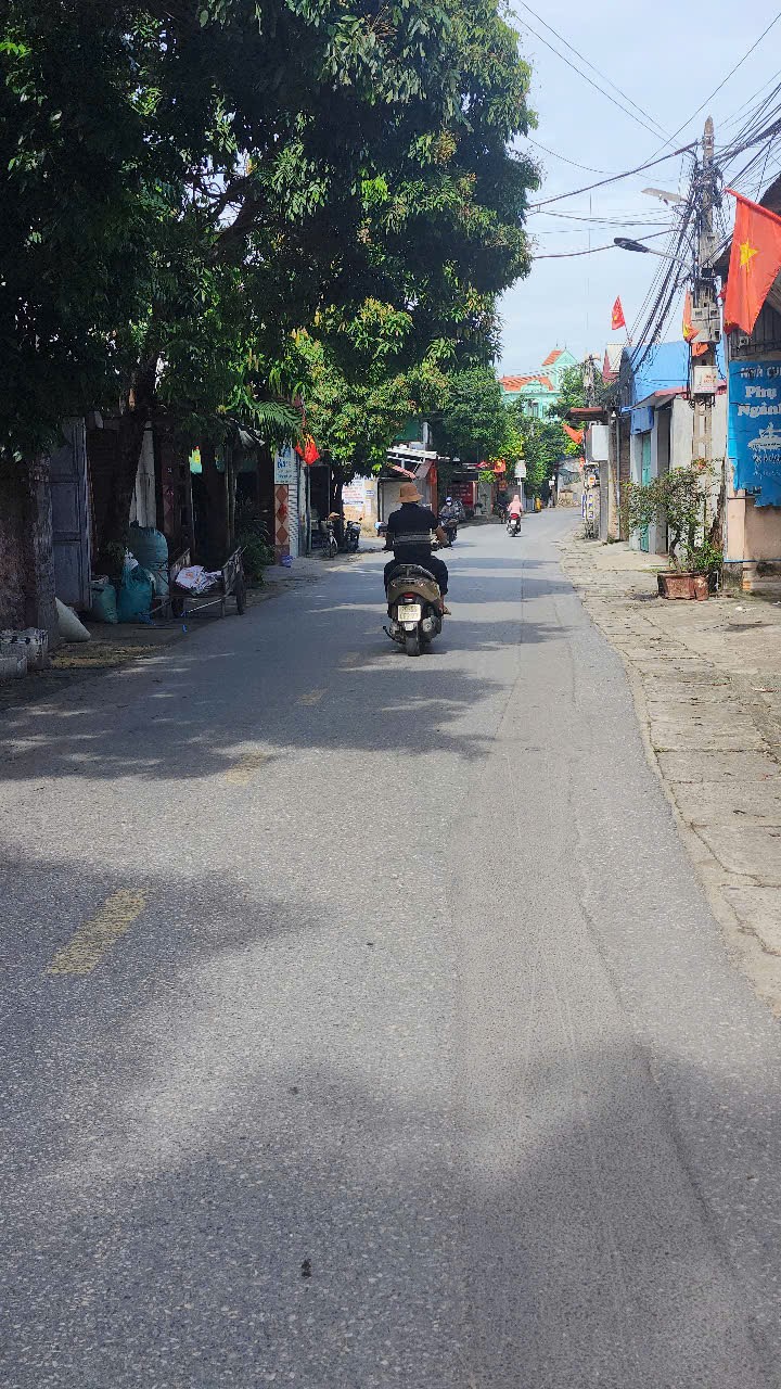 Bán đất