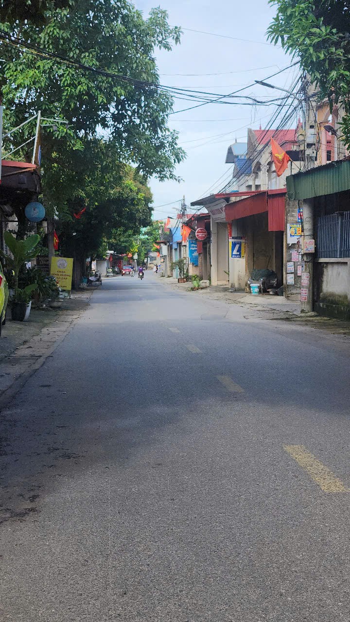 Bán đất