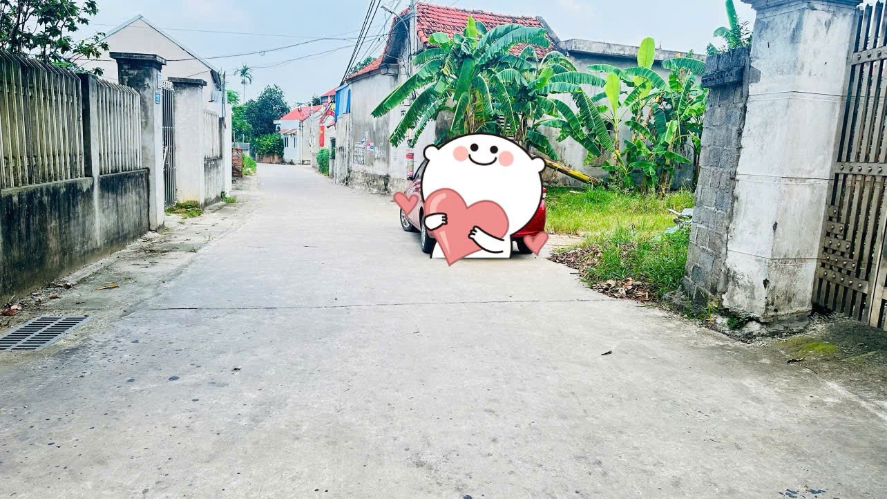 Bán đất