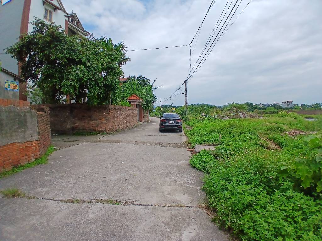 Bán đất