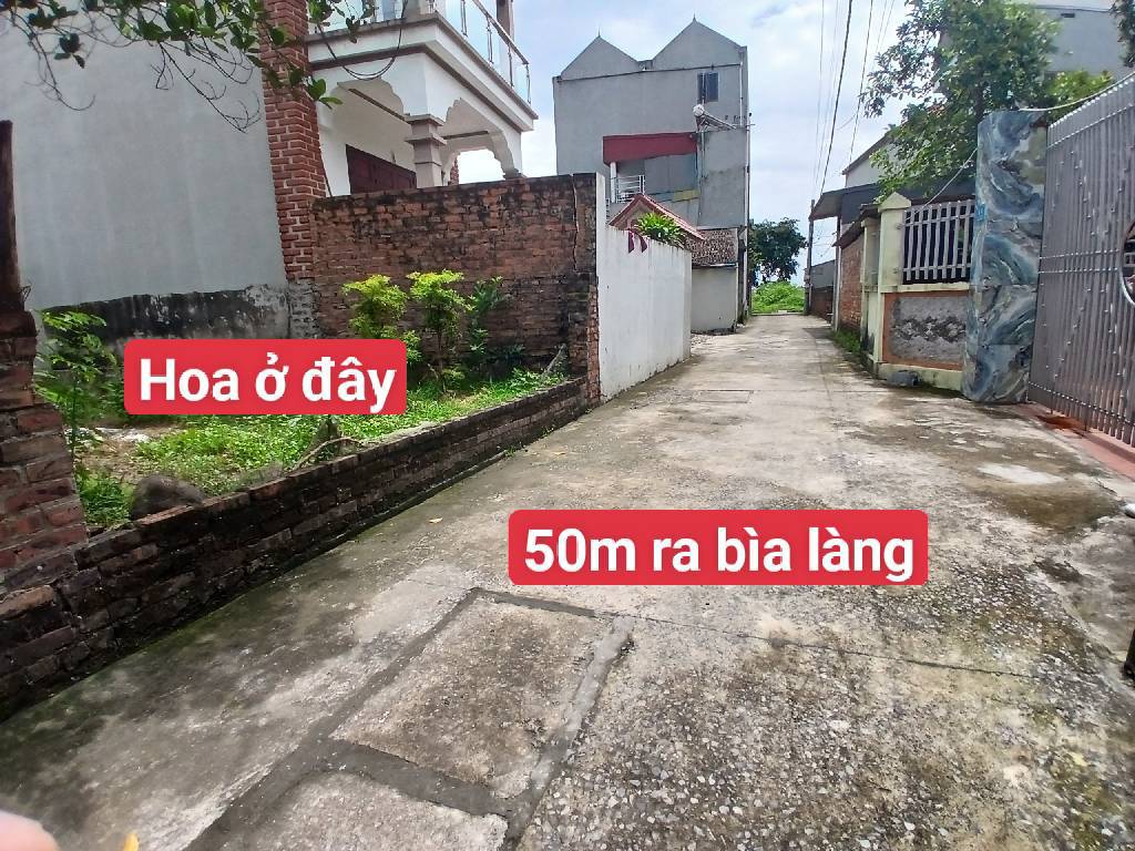 Bán đất