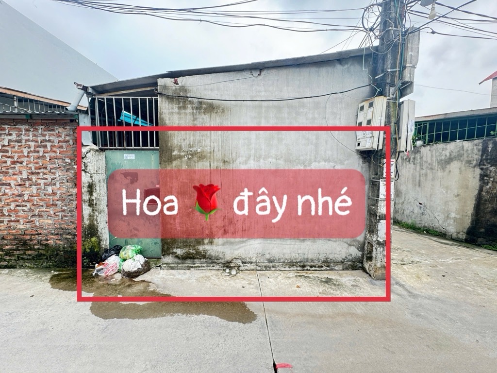 Bán đất