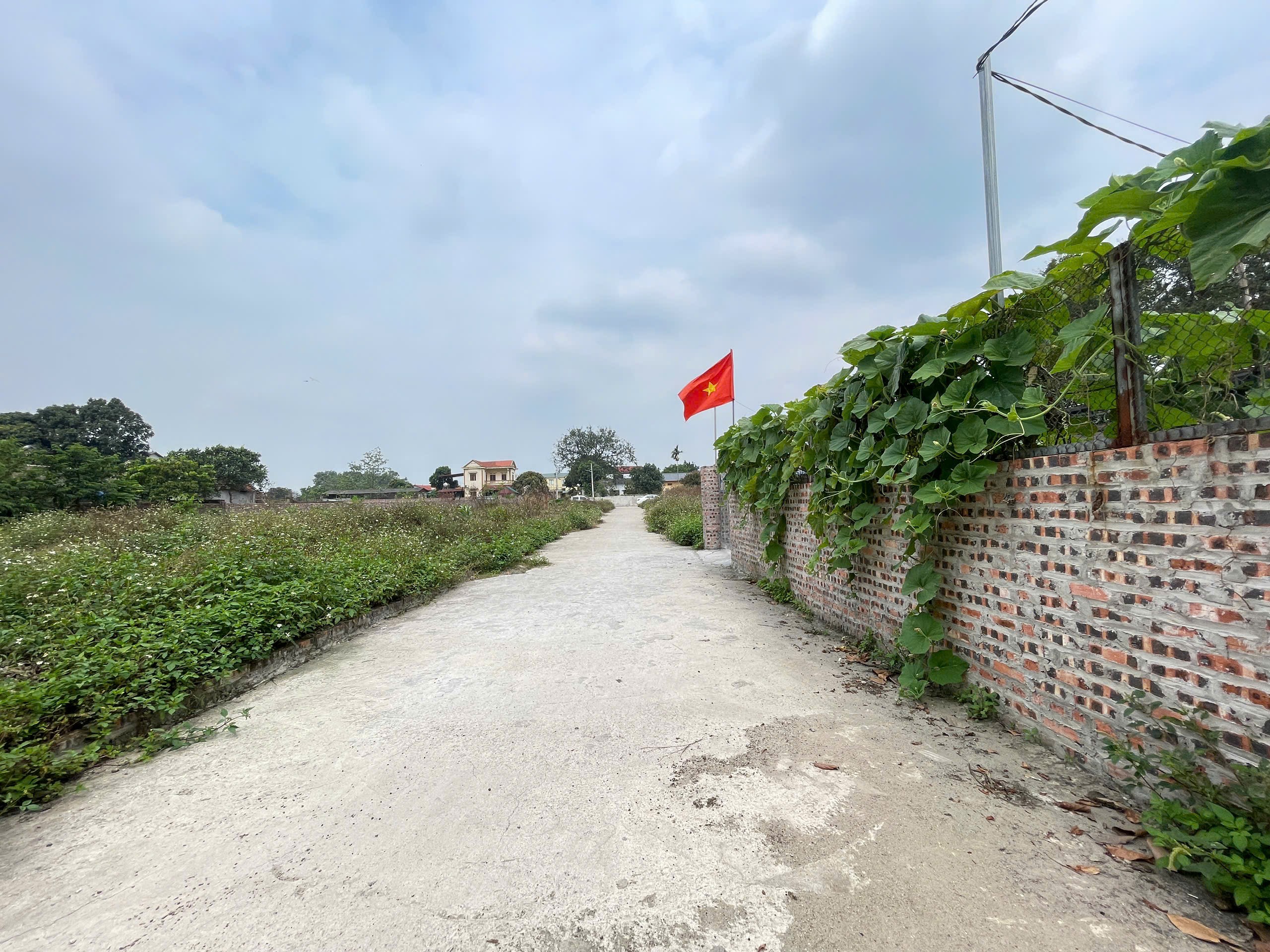 Bán đất