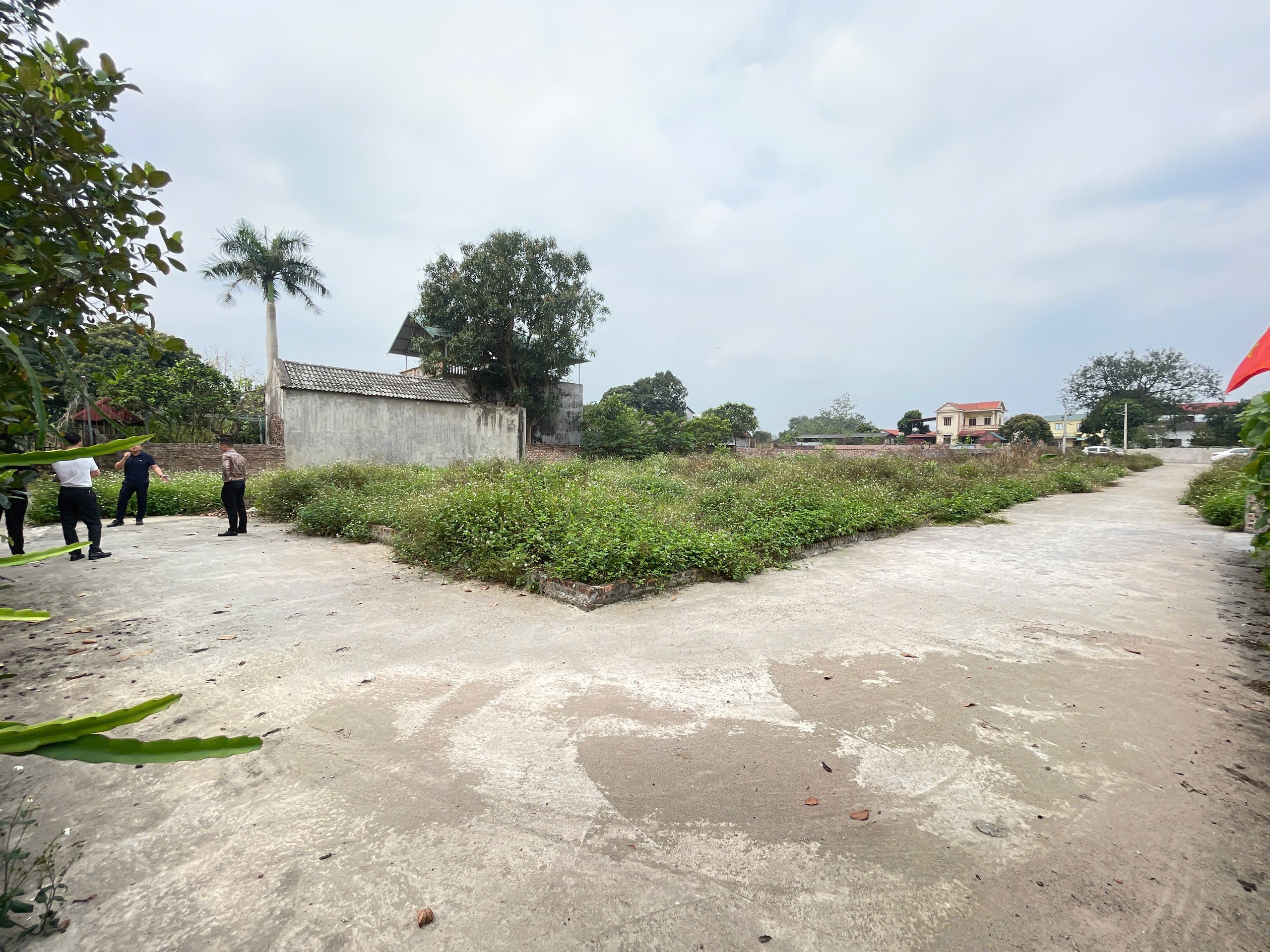 Bán đất