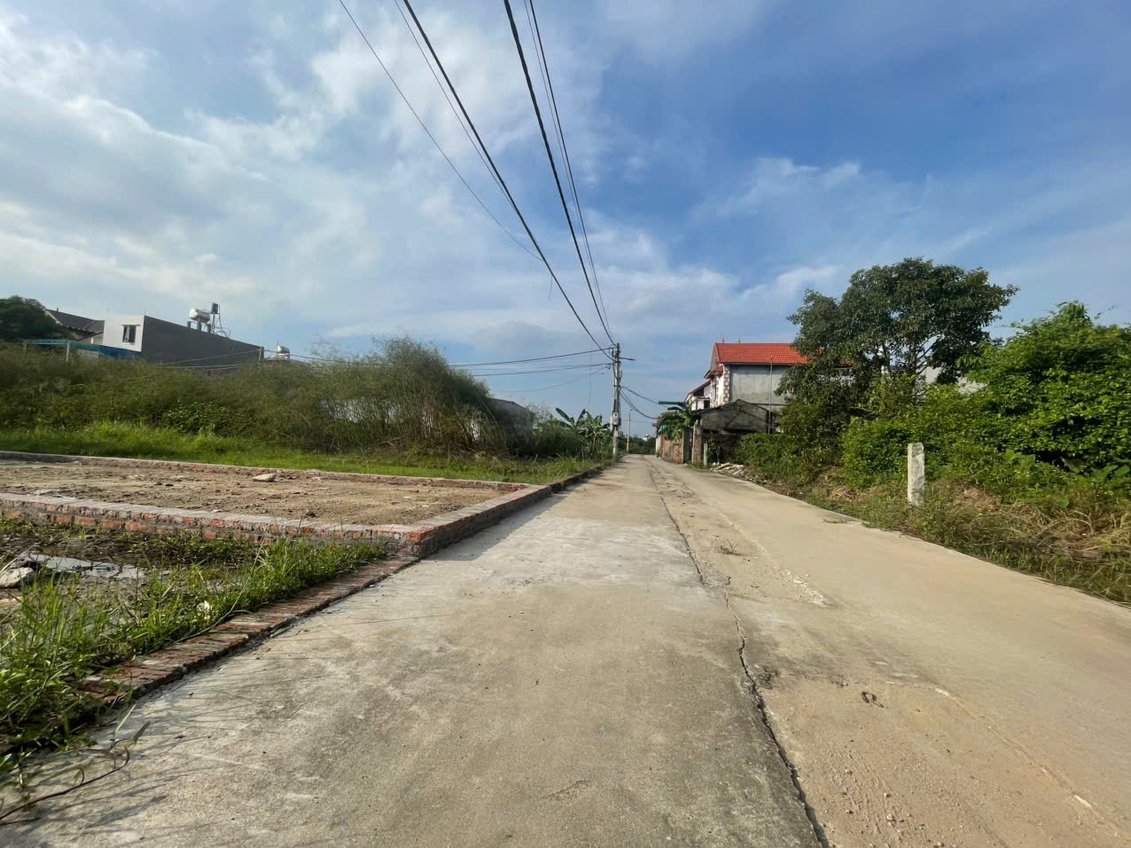Bán đất