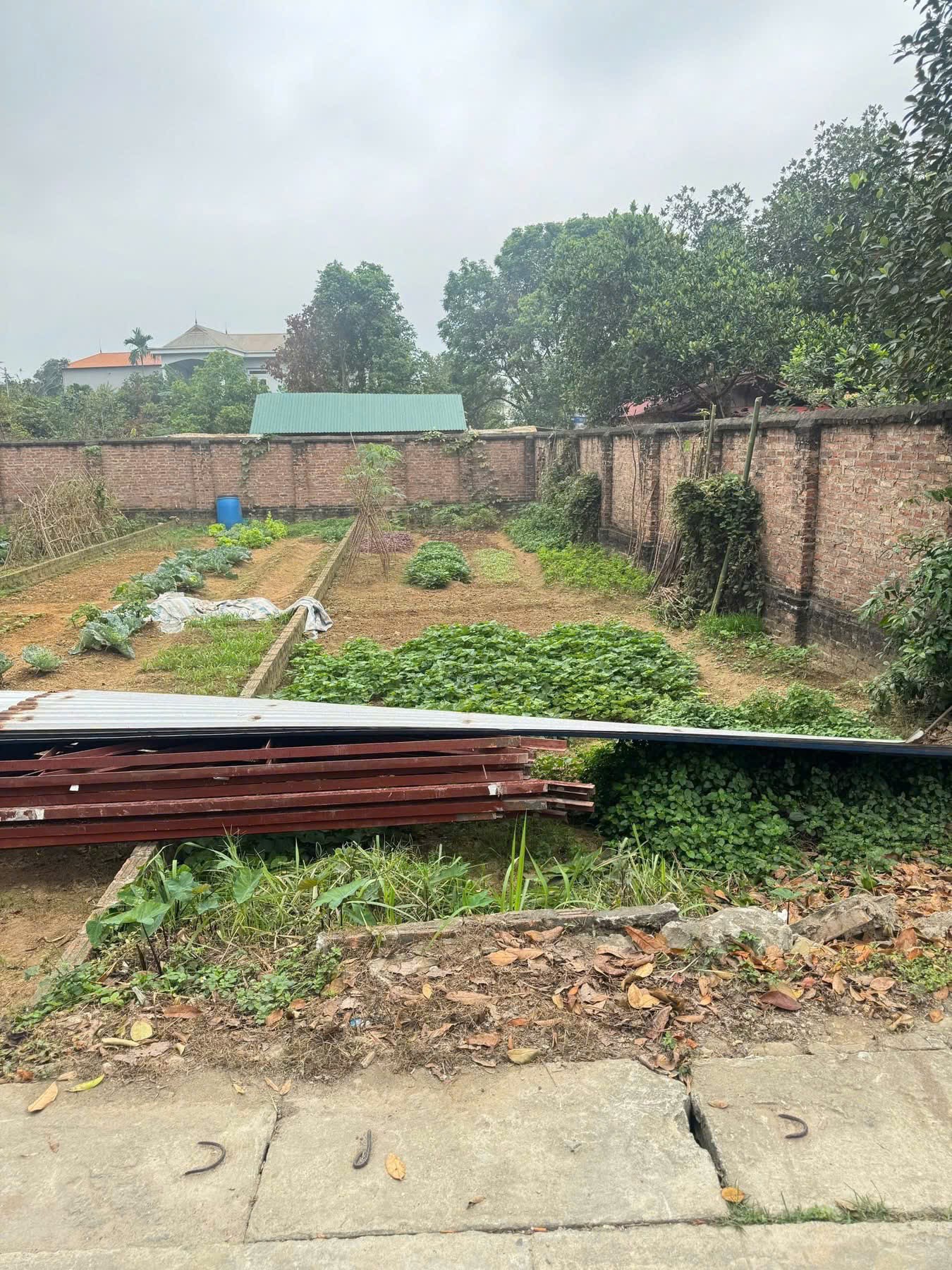 Đất bán
