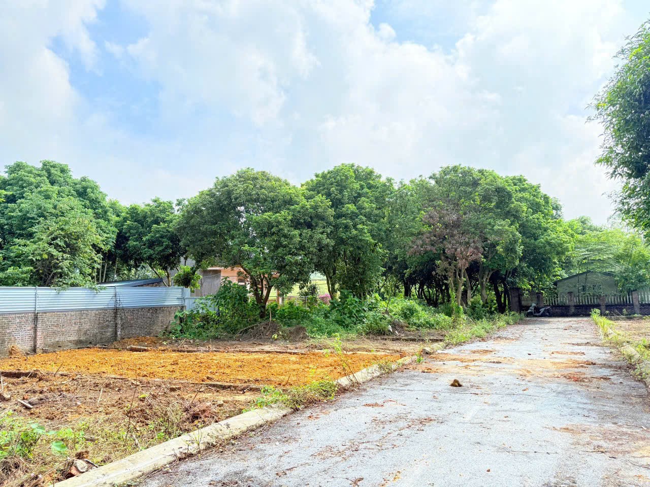 Bán đất