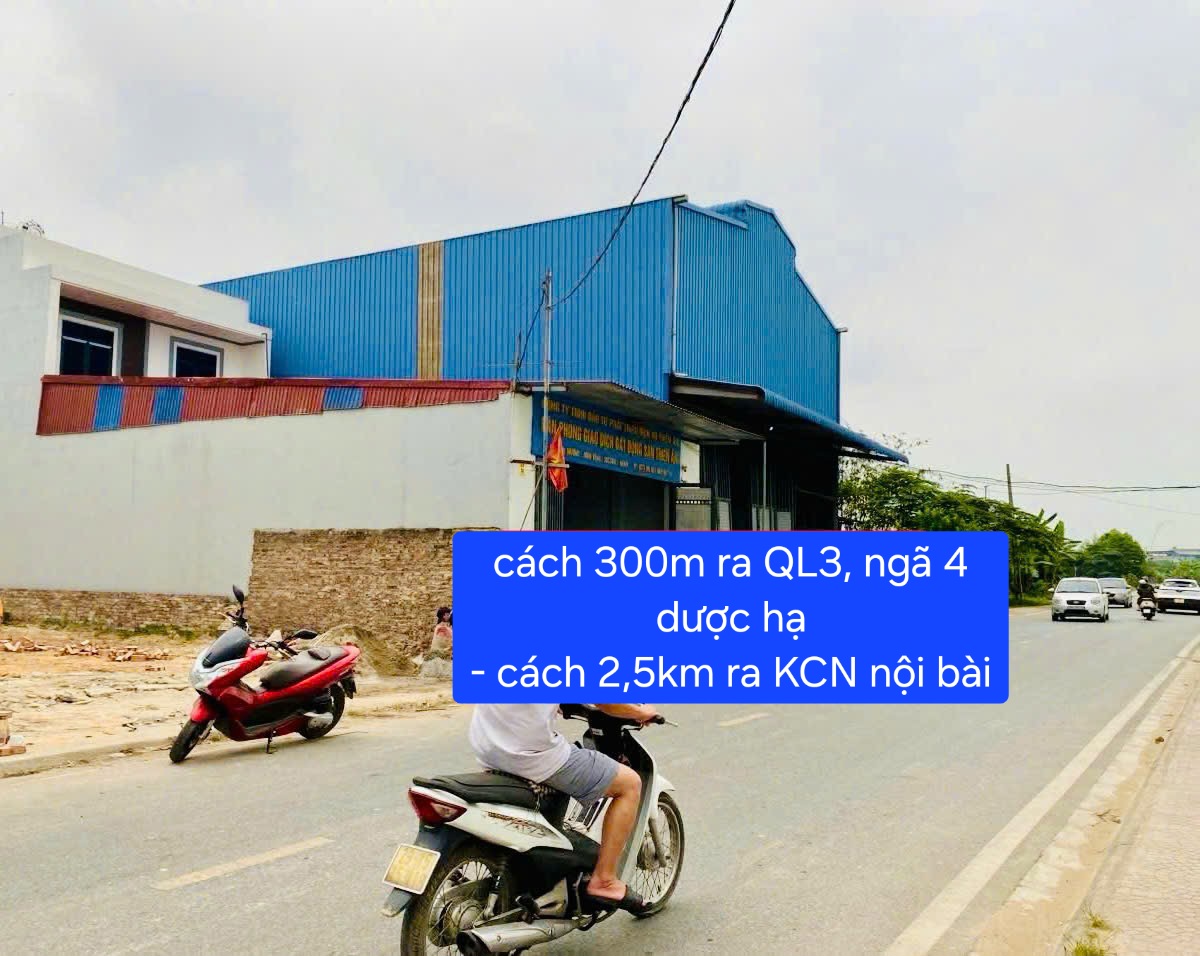 Bán đất
