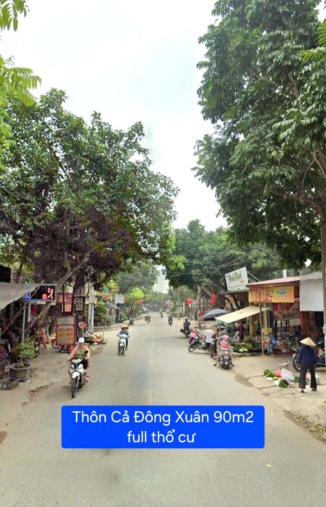 Bán đất